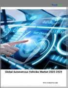 表紙：自動運転車（AV）の世界市場 2025-2029年
