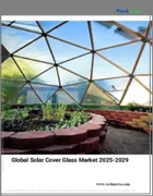 表紙：ソーラーカバーガラスの世界市場、2025-2029年