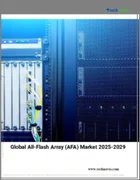 表紙：オールフラッシュアレイ（AFA）の世界市場 2025～2029年