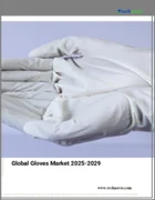 表紙：手袋の世界市場 2025～2029年