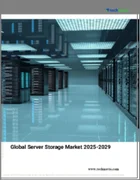 表紙：サーバー・ストレージの世界市場 2025～2029年