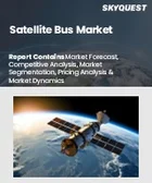 表紙：衛星バス市場規模、シェア、成長分析：サイズ別、サブシステム別、用途別、エンドユーザー別、地域別 - 産業予測 2025～2032年