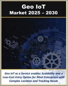 表紙：Geo IoTの技術・ソリューション・用途・サービス：2025～2030年