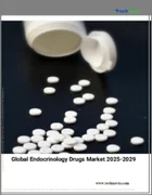 表紙：内分泌治療薬の世界市場 2025～2029年