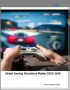 表紙：ゲーミングシミュレーターの世界市場 2025～2029年