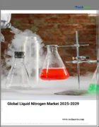 表紙：液体窒素の世界市場 2025～2029年