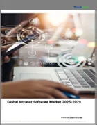 表紙：イントラネット・ソフトウェアの世界市場 2025～2029年