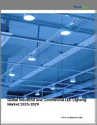 表紙：産業・商業用LED照明の世界市場 2025～2029年