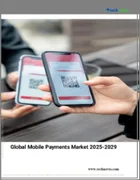 表紙：モバイル決済の世界市場 2025～2029年