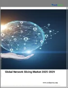表紙：ネットワークスライシングの世界市場 2025～2029年