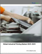 表紙：産業用印刷の世界市場 2025～2029年