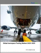表紙：航空宇宙試験の世界市場 2025～2029年