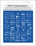 表紙：CAR-Tの資金調達 - ベンチャーキャピタル、IPO、ライセンシング、共同研究、M&A取引（2025年）