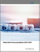 表紙：世界のデット・ファイナンス市場2025-2029年