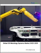 表紙：3D計測システムの世界市場 2025～2029年