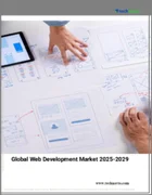 表紙：ウェブ開発の世界市場 2025～2029年