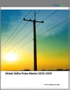 表紙：電柱の世界市場 2025-2029