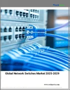表紙：ネットワークスイッチの世界市場 2025～2029年