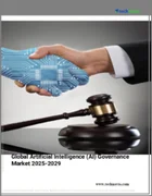 表紙：人工知能（AI）ガバナンスの世界市場 2025～2029年