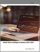 表紙：セールスインテリジェンスの世界市場 2025～2029年