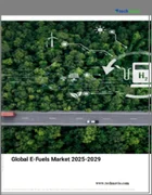 表紙：合成燃料 (E-fuel) の世界市場 2025～2029年