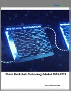 表紙：ブロックチェーン技術の世界市場 2025～2029年