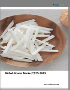 表紙：ヒカマの世界市場 2025～2029年