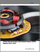 表紙：電子整流モーター（ECM）の世界市場 2025～2029年