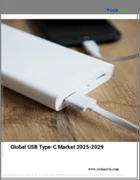 表紙：USBタイプCの世界市場 2025～2029年
