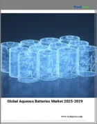 表紙：水系電池の世界市場 2025-2029