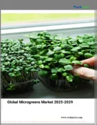 表紙：マイクログリーンの世界市場 2025-2029