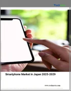 表紙：日本のスマートフォン市場 2025～2029年