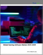表紙：ゲームソフトウェアの世界市場 2025-2029年