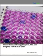 表紙：分子生物学用酵素、キット、試薬の世界市場 2025-2029