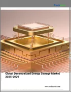 表紙：分散型エネルギー貯蔵の世界市場 2025-2029年