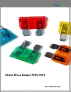 表紙：エフューズの世界市場 2025-2029