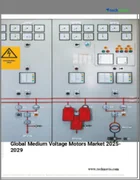 表紙：中電圧モーターの世界市場 2025年～2029年