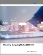 表紙：フォグコンピューティングの世界市場 2025年～2029年