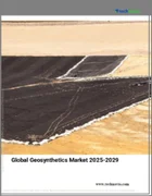 表紙：ジオシンセティックスの世界市場、2025～2029年