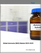 表紙：アンモニア（NH3）の世界市場、2025～2029年