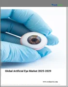 表紙：人工眼の世界市場、2025～2029年