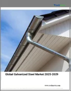 表紙：亜鉛メッキ鋼の世界市場 2025年～2029年