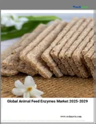 表紙：飼料用酵素の世界市場 2025年～2029年