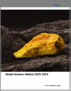 表紙：ウランの世界市場 2025-2029