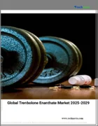 表紙：トレンボロンエナント酸の世界市場 2025年～2029年