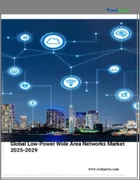 表紙：低消費電力ワイドエリアネットワークの世界市場 2025年～2029年