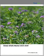 表紙：アルファルファの世界市場 2025-2029