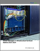 表紙：マネージドITインフラサービスの世界市場 2025-2029