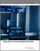 表紙：サービスとしてのSOCの世界市場 2025-2029