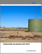 表紙：シェールガスの世界市場、2025年～2029年
